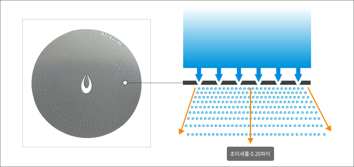 마이크로플레이트