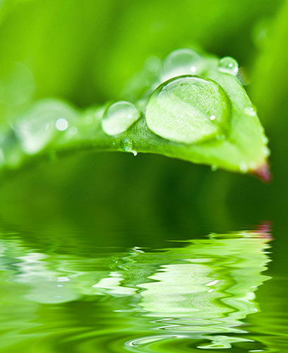 03. ECO CARE